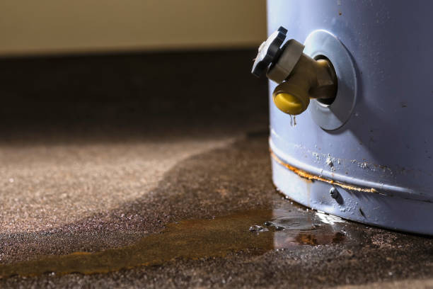 Best Water damage restoration mold remediation  in Savannah, TN