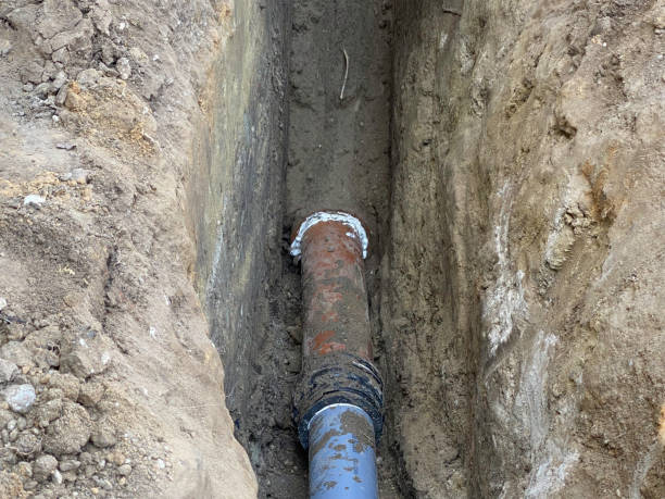 Best Basement water damage restoration  in Savannah, TN