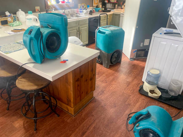 Best Carpet water damage restoration  in Savannah, TN