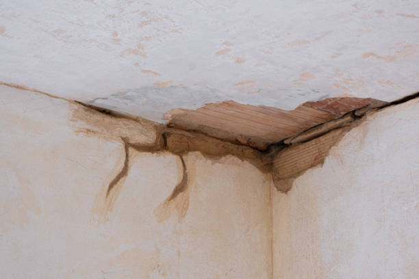 Best 24-hour water damage restoration  in Savannah, TN