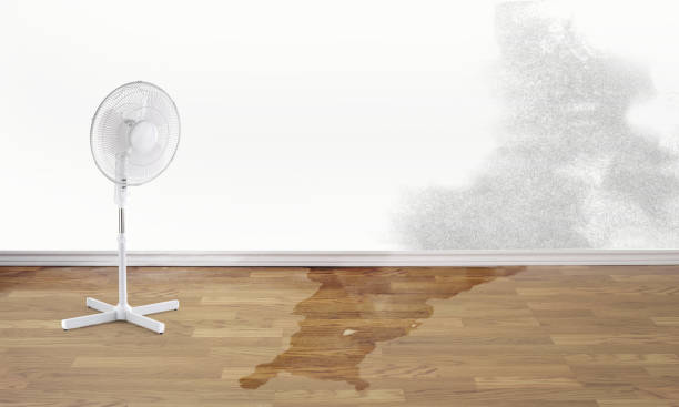 Best Commercial water damage restoration  in Savannah, TN