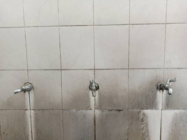 Best Sewage cleanup and water damage restoration  in Savannah, TN
