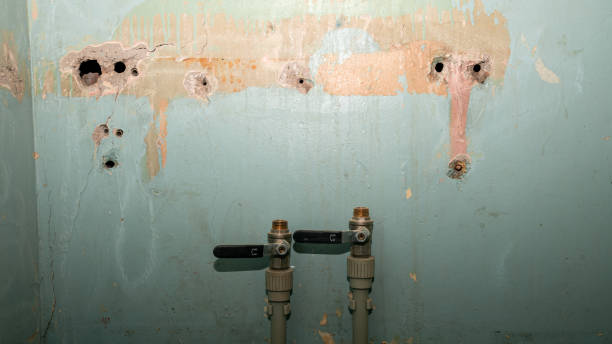Carpet water damage restoration in Savannah, TN