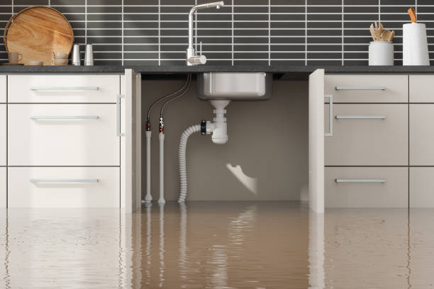 Water damage restoration experts in Savannah, TN